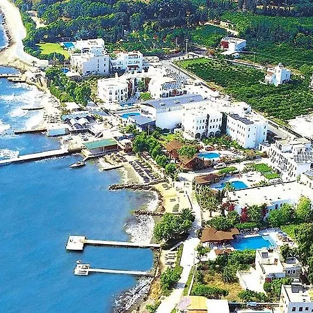 Duygulu Turgutreis